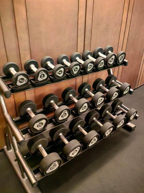 健身器材品牌排行榜前十名厂家有哪些 健身器材品牌排行榜前十名厂家有哪些